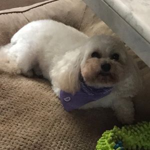 Meet your Posher, Maria